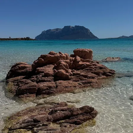 Bedda Ista Loiri Porto San Paolo